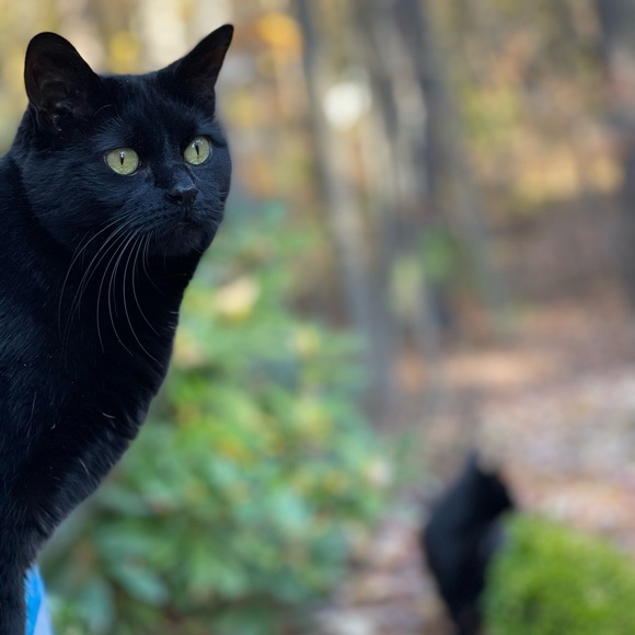 Meet your Posher, Jen - Picture 10 of 14